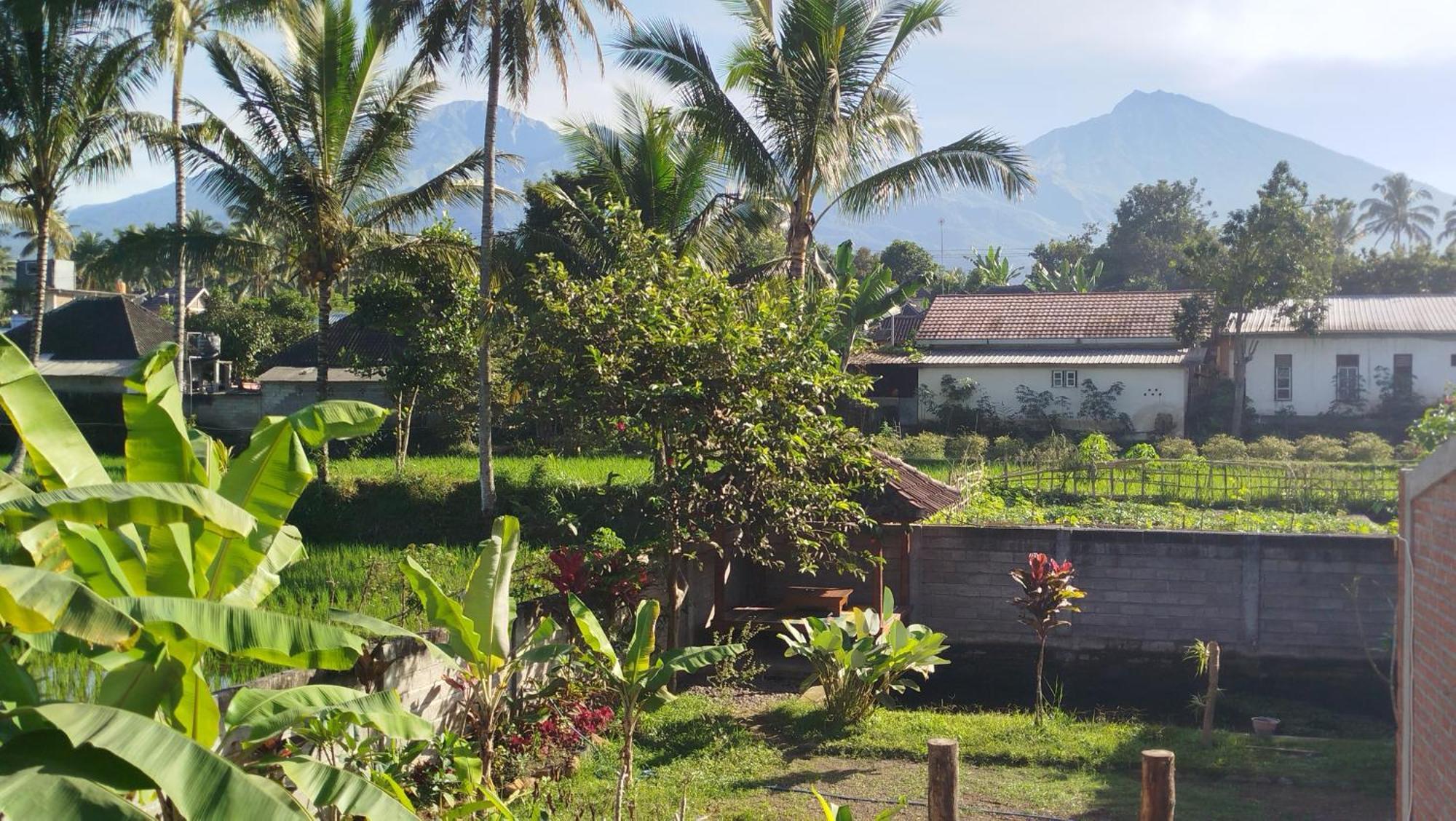 Arista Homestay Tetebatu Exteriér fotografie