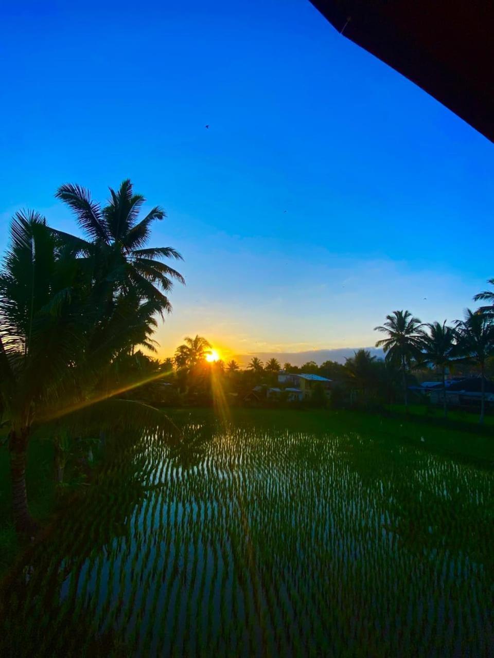 Arista Homestay Tetebatu Exteriér fotografie
